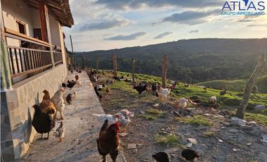 VENTA PERMUTA DE FINCA DE EN CHARALA SANTANDER COD :1050