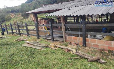 VENTA PERMUTA DE FINCA DE EN CHARALA SANTANDER COD :1050