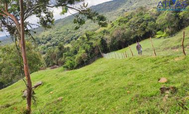 VENTA PERMUTA DE FINCA DE EN CHARALA SANTANDER COD :1050