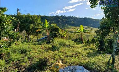 VENTA PERMUTA DE FINCA DE EN CHARALA SANTANDER COD :1050