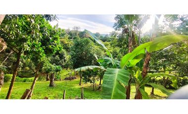 Casalote de 2000 M2 de 490 mill en La Mesa Cund a 13 Min del pueblo