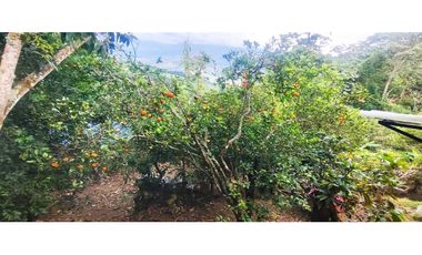 NO DISPONIBLE de 551 M2 en 210 mill en La Mesa Cund