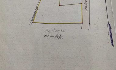 Dijual tanah pinggir jalan utama kintamani kawasan resto dan agro