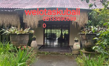 Dijual tanah pinggir jalan utama kintamani kawasan resto dan agro