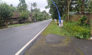 Dijual tanah pinggir jalan utama kintamani kawasan resto dan agro