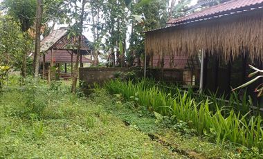 Dijual tanah pinggir jalan utama kintamani kawasan resto dan agro