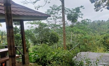 Dijual tanah pinggir jalan utama kintamani kawasan resto dan agro