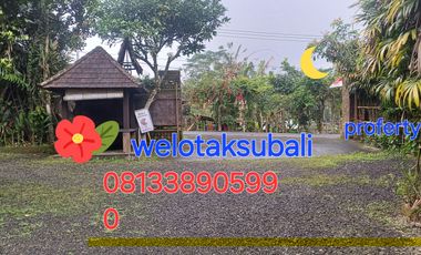 Dijual tanah pinggir jalan utama kintamani kawasan resto dan agro