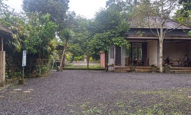 Dijual tanah pinggir jalan utama kintamani kawasan resto dan agro