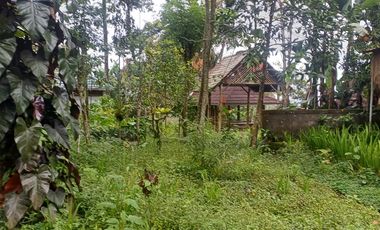 Dijual tanah pinggir jalan utama kintamani kawasan resto dan agro