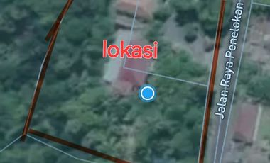 Dijual tanah pinggir jalan utama kintamani kawasan resto dan agro