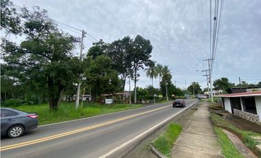 PEDREGAL  / LOCAL COMERCIAL / IDEAL PARA TALLER/ 1000M / YH