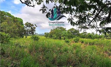 VENDO FINCA DE 88HA HORCONCITOS