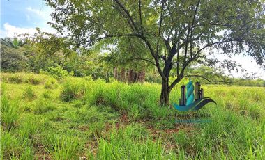 VENDO FINCA DE 88HA HORCONCITOS