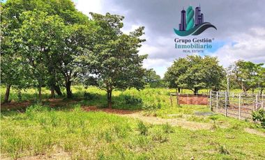 VENDO FINCA DE 88HA HORCONCITOS