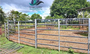 VENDO FINCA DE 88HA HORCONCITOS