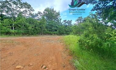 VENDO FINCA DE 88HA HORCONCITOS