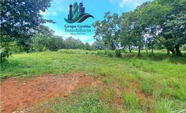 VENDO FINCA DE 88HA HORCONCITOS