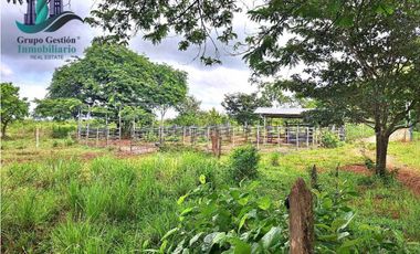 VENDO FINCA DE 88HA HORCONCITOS