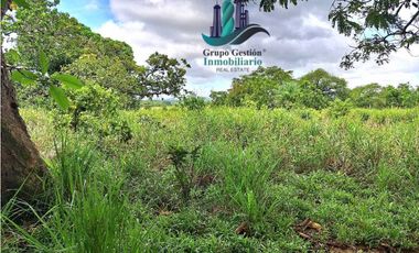 VENDO FINCA DE 88HA HORCONCITOS