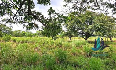 VENDO FINCA DE 88HA HORCONCITOS