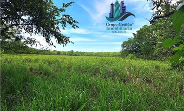 VENDO FINCA DE 88HA HORCONCITOS