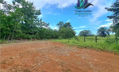 VENDO FINCA DE 88HA HORCONCITOS