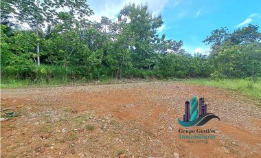 VENDO FINCA DE 88HA HORCONCITOS