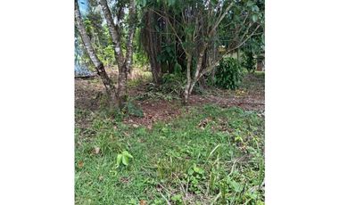 VENDO.1000MTS A PASOS DEL PUERTO BARU CORREG. CHIRIQUI