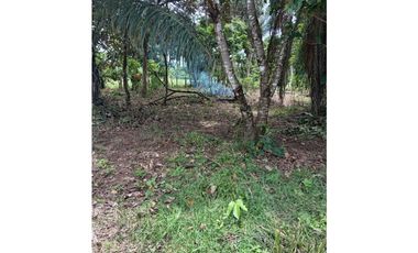 VENDO.1000MTS A PASOS DEL PUERTO BARU CORREG. CHIRIQUI