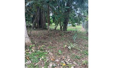 VENDO.1000MTS A PASOS DEL PUERTO BARU CORREG. CHIRIQUI