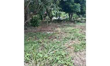 VENDO.1000MTS A PASOS DEL PUERTO BARU CORREG. CHIRIQUI