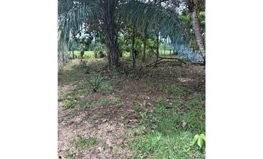 VENDO.1000MTS A PASOS DEL PUERTO BARU CORREG. CHIRIQUI