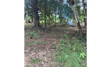 VENDO.1000MTS A PASOS DEL PUERTO BARU CORREG. CHIRIQUI