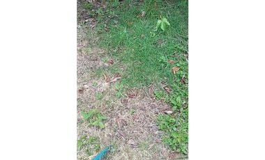 VENDO.1000MTS A PASOS DEL PUERTO BARU CORREG. CHIRIQUI