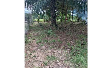 VENDO.1000MTS A PASOS DEL PUERTO BARU CORREG. CHIRIQUI