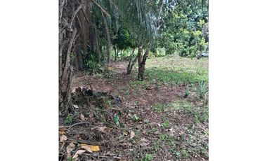 VENDO.1000MTS A PASOS DEL PUERTO BARU CORREG. CHIRIQUI