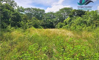 VENDO FINCA + DE 1 KILOMETRO DE FRENTE INTERAMERICANA SAN LORENZO