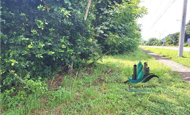 VENDO FINCA + DE 1 KILOMETRO DE FRENTE INTERAMERICANA SAN LORENZO