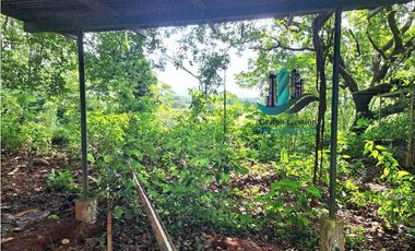 VENDO FINCA + DE 1 KILOMETRO DE FRENTE INTERAMERICANA SAN LORENZO