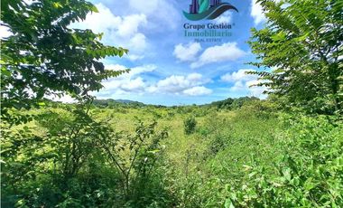 VENDO.FINCA A ORILLA.DE CALLE CON.GALERA SAN LORENZO