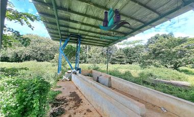 VENDO.FINCA A ORILLA.DE CALLE CON.GALERA SAN LORENZO