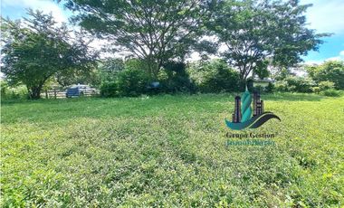 VENDO.FINCA A ORILLA.DE CALLE CON.GALERA SAN LORENZO