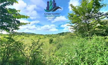 VENDO.FINCA A ORILLA.DE CALLE CON.GALERA SAN LORENZO