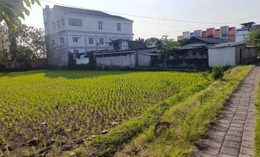TANAH SAWAH STRATEGIS SELANGKAH KE KAMPUS UMY TAMANTIRTO BANTUL YOGYA