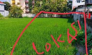 TANAH SAWAH STRATEGIS SELANGKAH KE KAMPUS UMY TAMANTIRTO BANTUL YOGYA