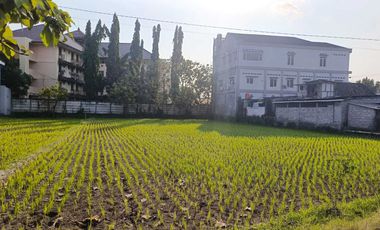 TANAH SAWAH STRATEGIS SELANGKAH KE KAMPUS UMY TAMANTIRTO BANTUL YOGYA