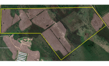 Campo en venta de 136 Has, mixto. Aut. 6 Cañuelas - Gral. Las Heras