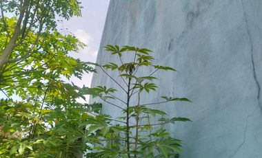 Dijual Cepat Rumah & Bangunan Murah 125m² di Sleman Yogyakarta