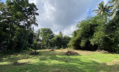 SHM Area Pemda Sleman